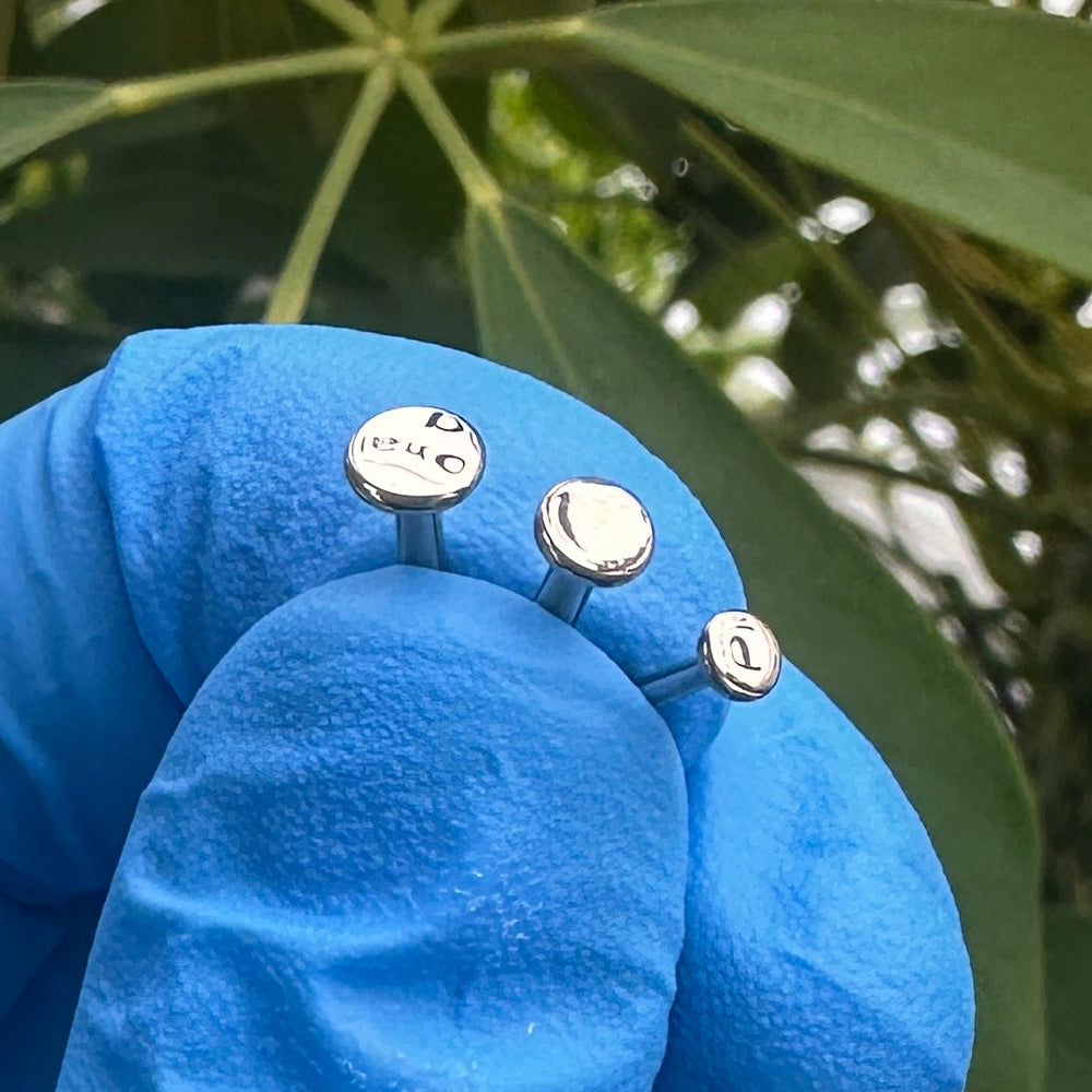 Titanium disc (attachment)