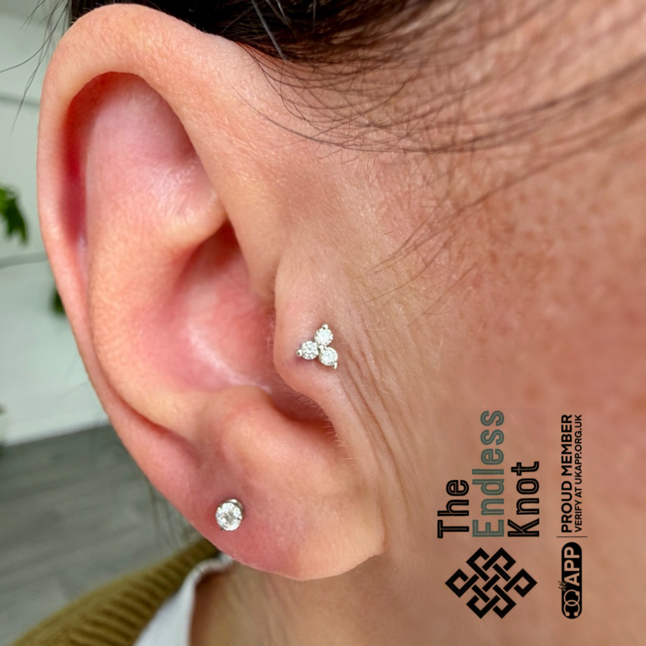 Oorkraakbeen (met labret)