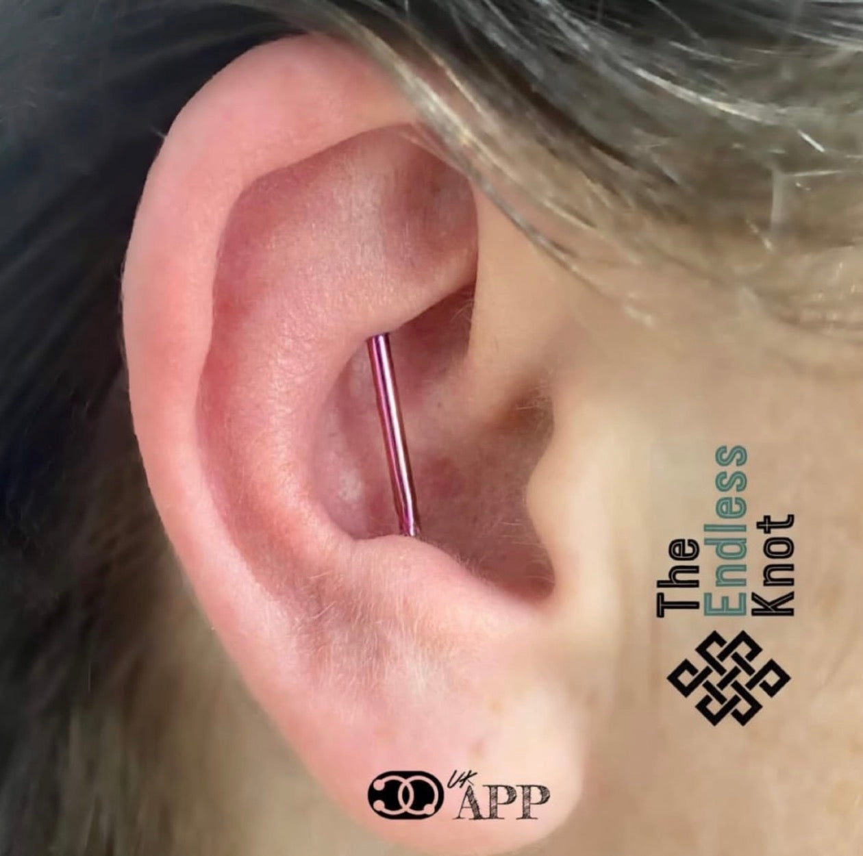 Straight barbell in ear ￼