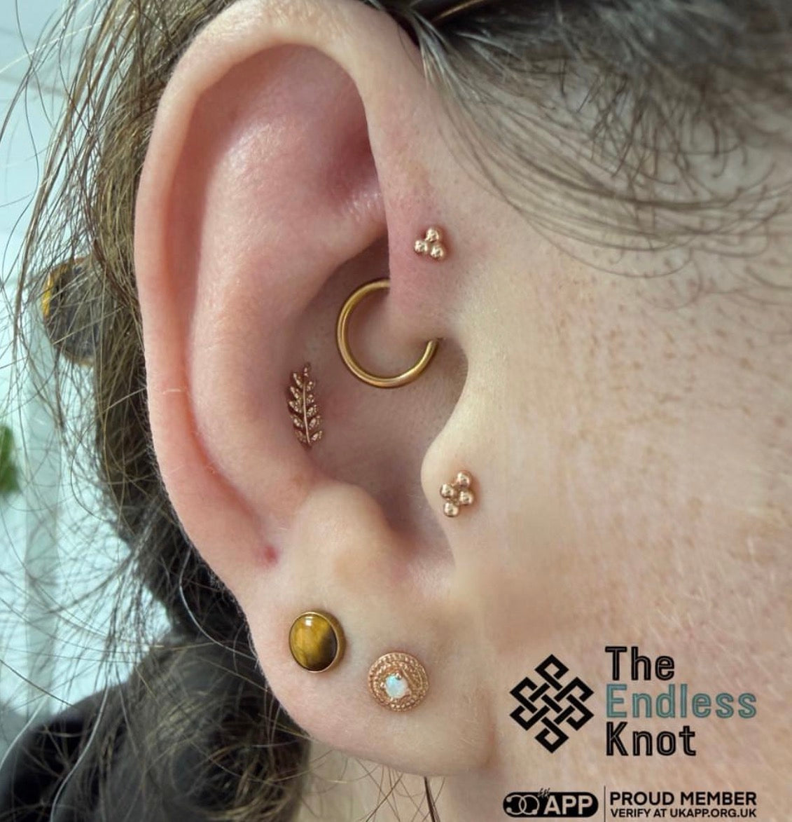 Oorkraakbeen (met labret)