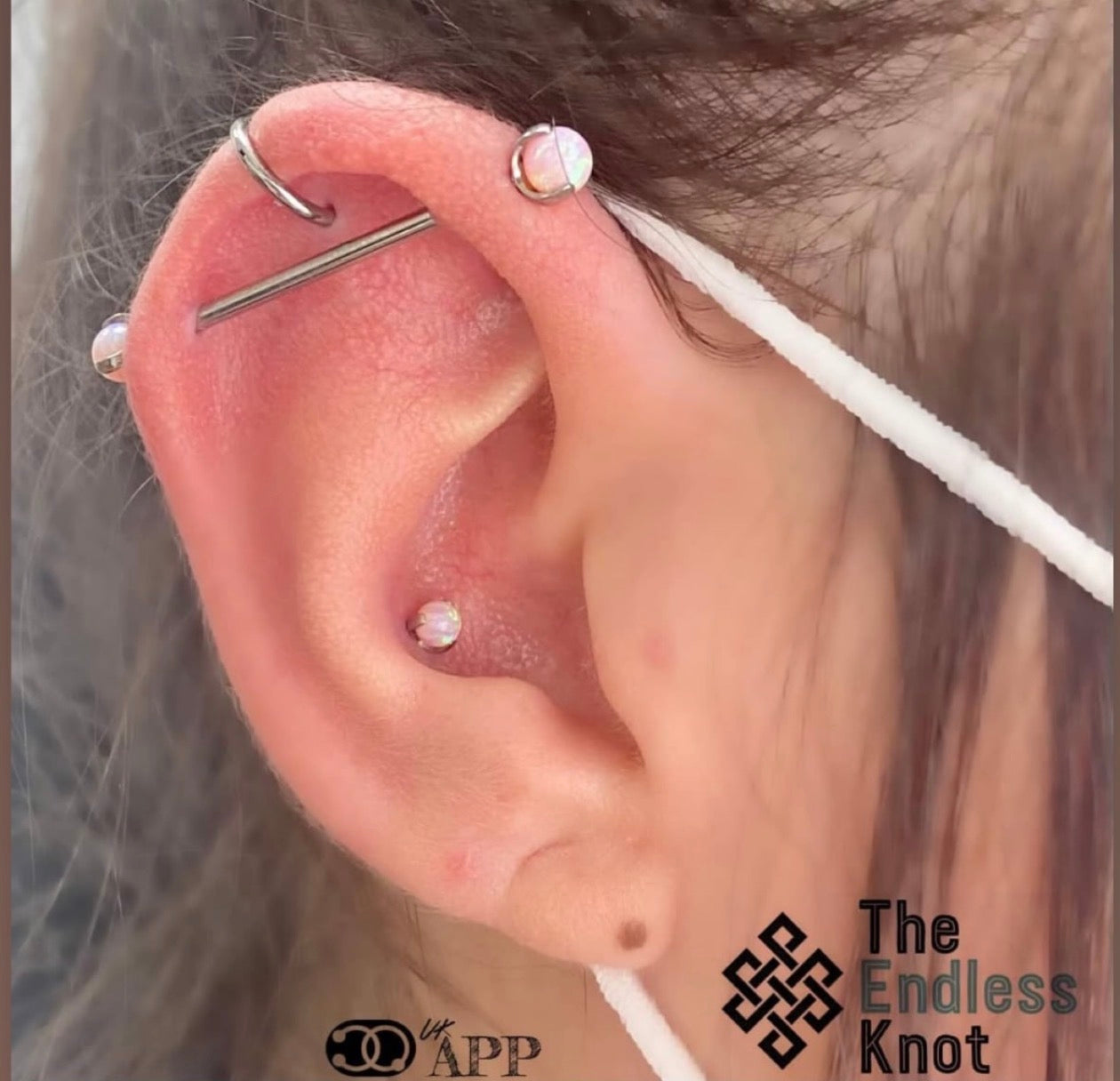 Straight barbell in ear ￼