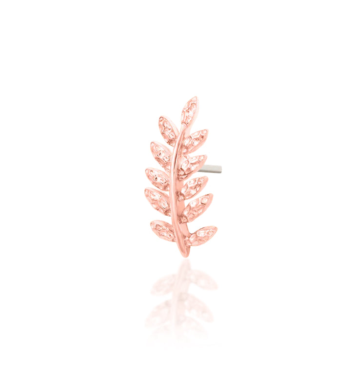 Willow (attachment)