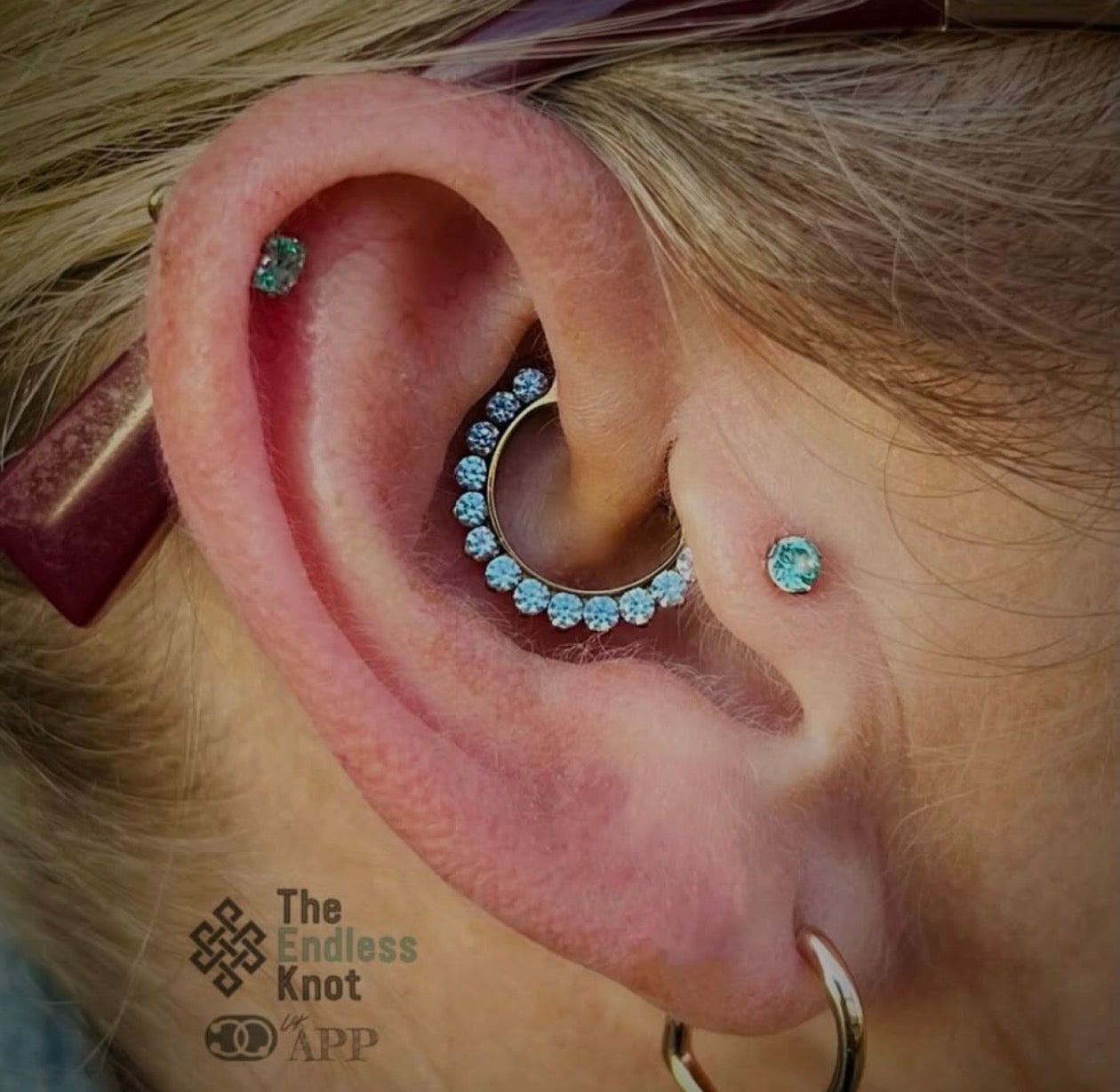 Septum / Daith