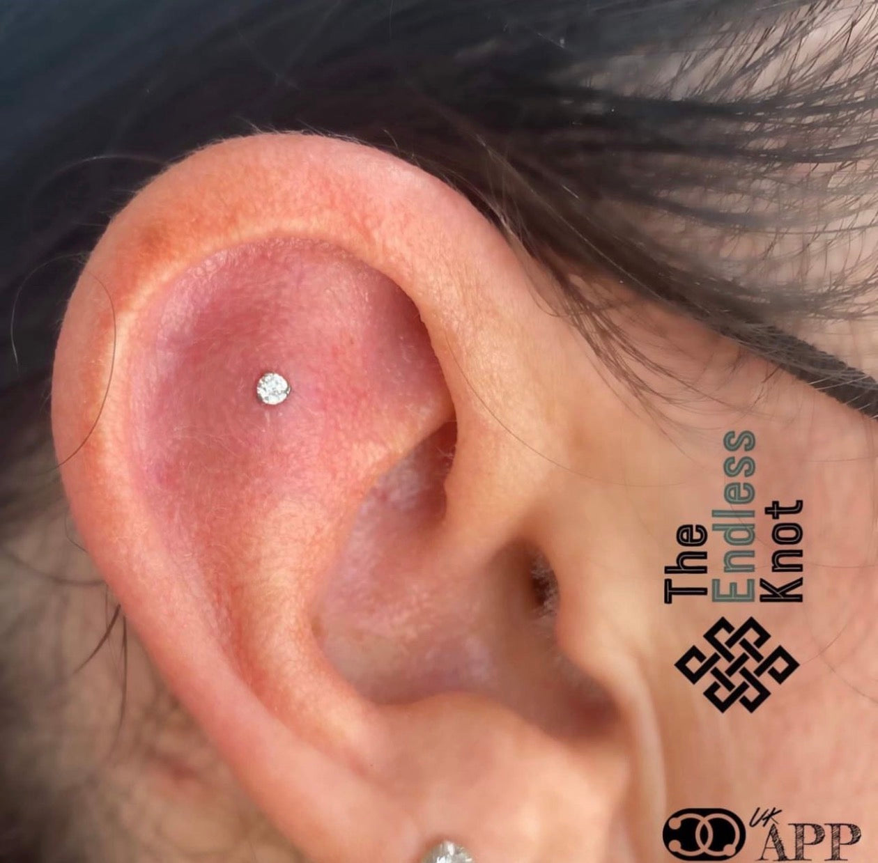 Oorkraakbeen (met labret)