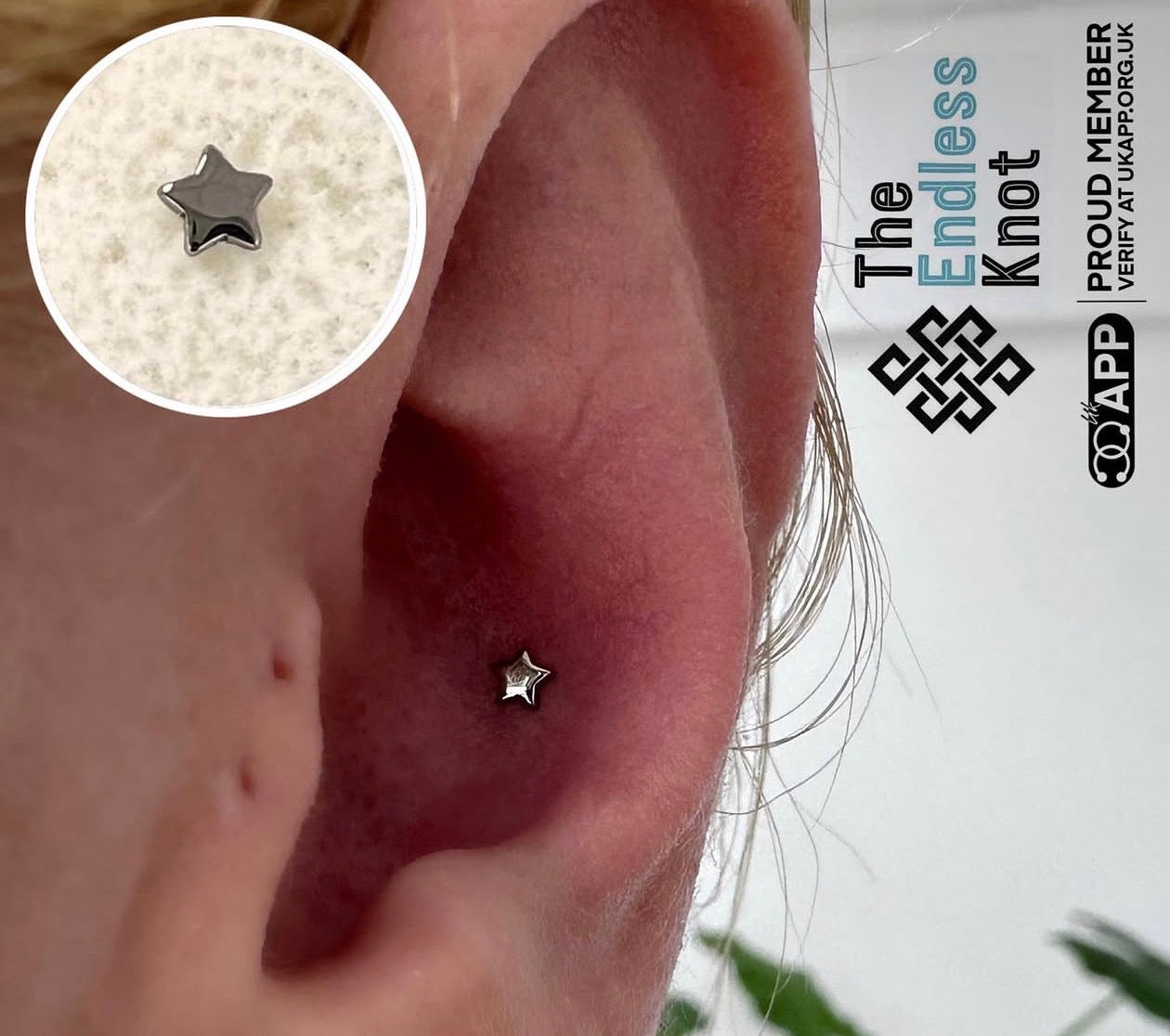 Oorkraakbeen (met labret)