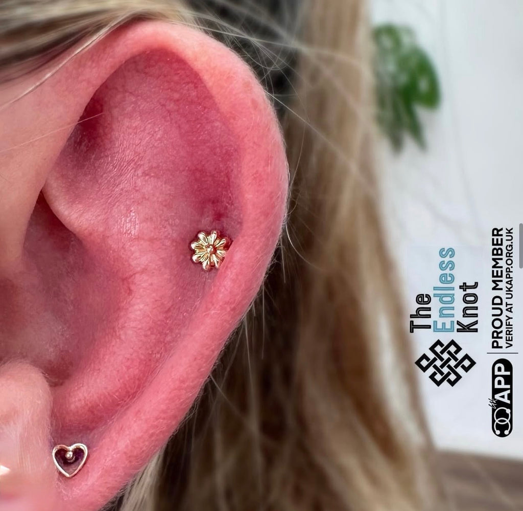 Classic Piercing Appointment