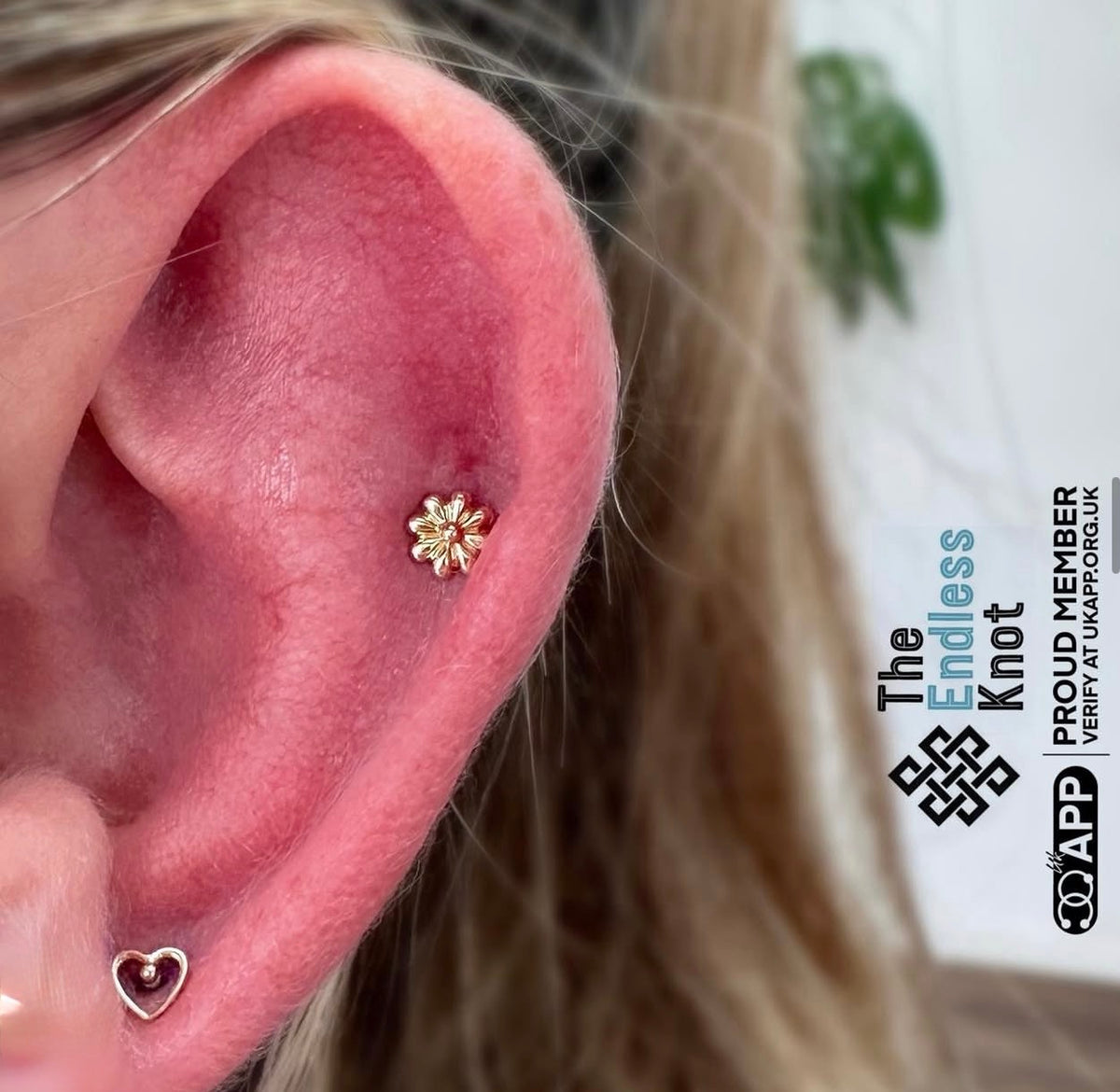 Classic Piercing Appointment