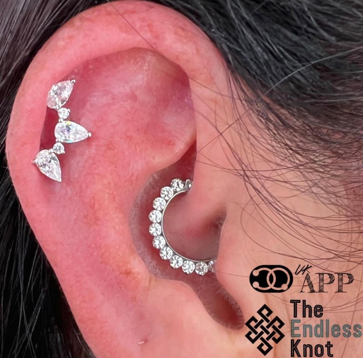 Septum / Daith
