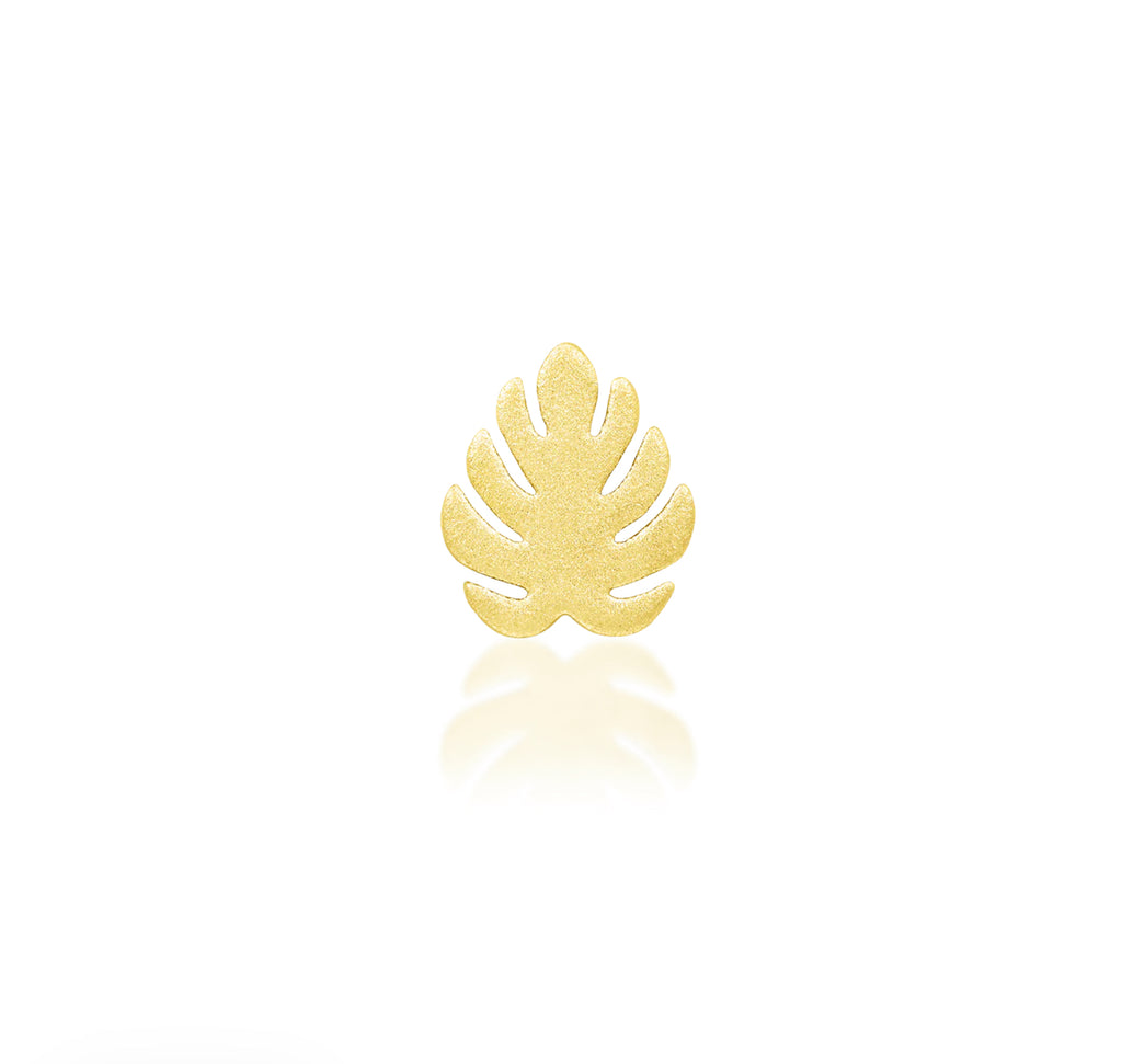 Monstera (attachment)