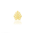 Monstera (attachment)
