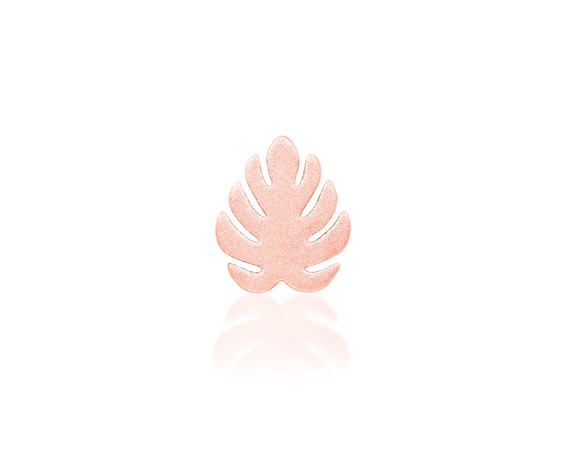 Monstera (attachment)