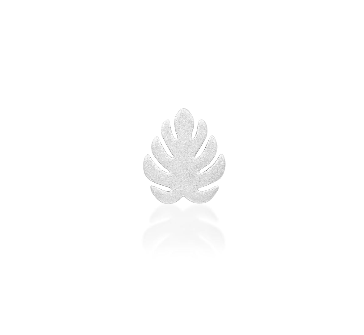 Monstera (attachment)