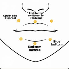 Lip (labret)