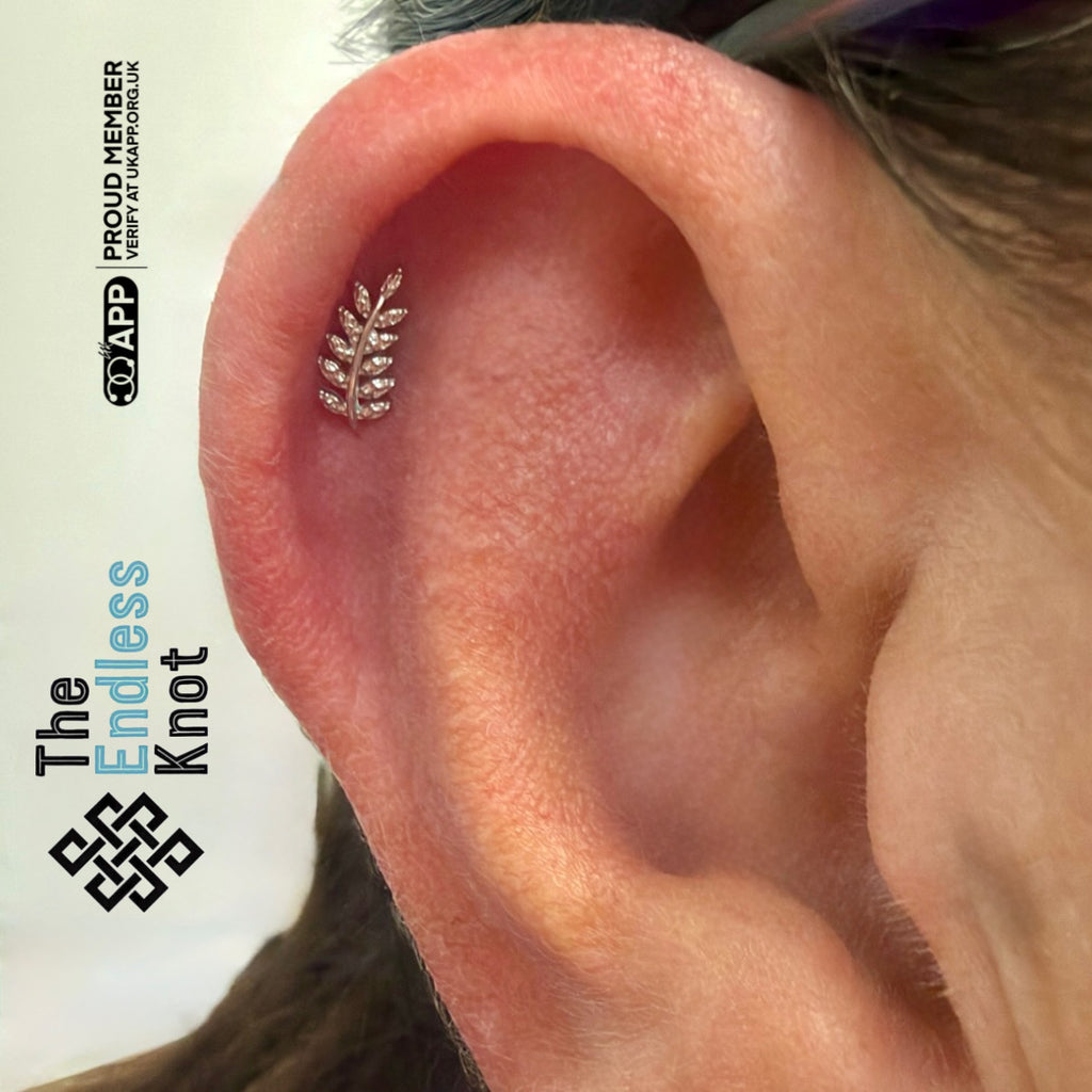Classic Piercing Appointment